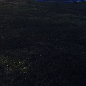 Meet your Posher, Rubi